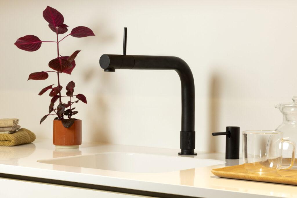 Minimalistische Küchenszene mit modernem schwarzen Wasserhahn, roter Pflanze und Glasgefäßen.